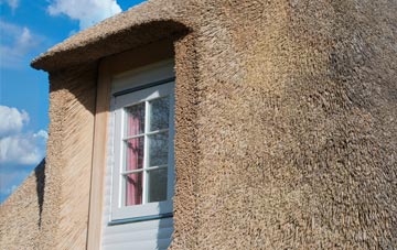Mineshope thatch roof disadvantages
