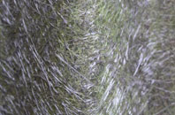 Mineshope fibreglass roof work